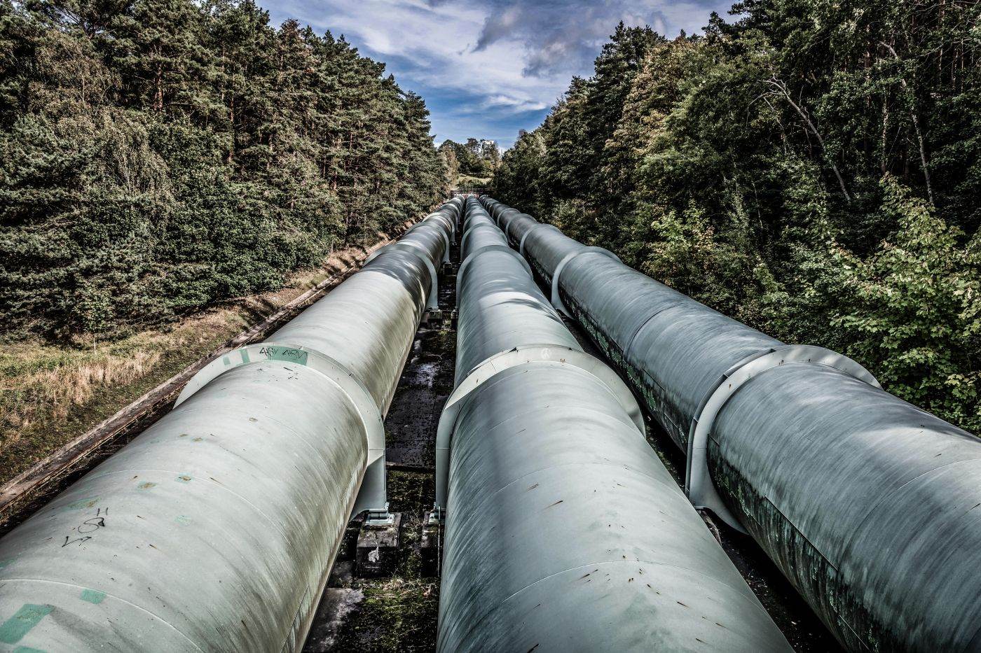 TASS: Emisarul lui Putin spune că Rusia şi Germania ar putea redeschide împreună Nord Stream